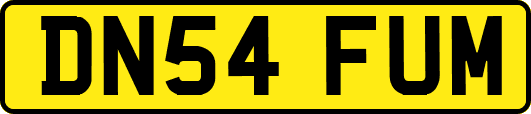 DN54FUM