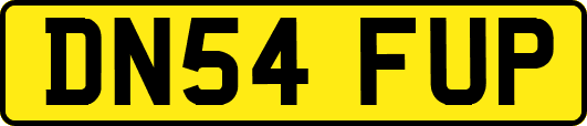 DN54FUP