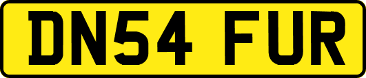 DN54FUR
