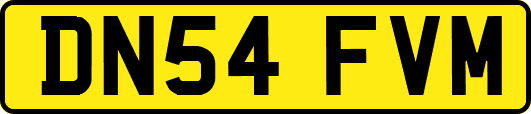 DN54FVM
