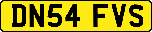 DN54FVS