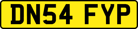 DN54FYP