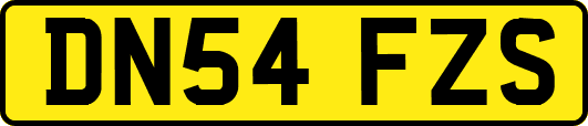 DN54FZS
