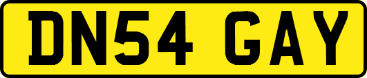DN54GAY