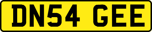 DN54GEE