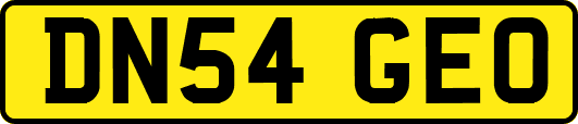 DN54GEO