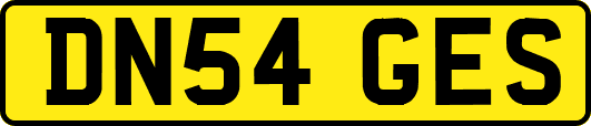 DN54GES