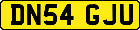 DN54GJU