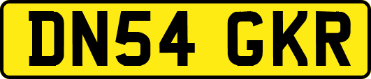 DN54GKR