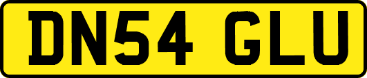 DN54GLU