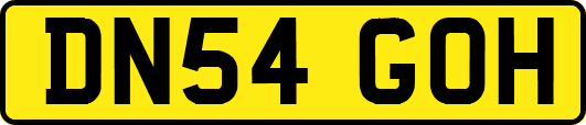 DN54GOH