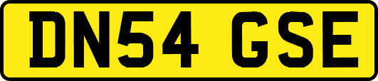 DN54GSE