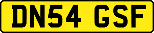 DN54GSF