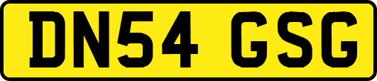 DN54GSG