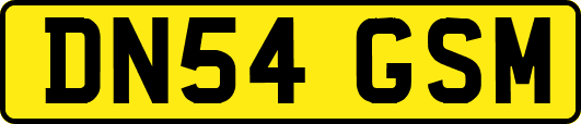 DN54GSM