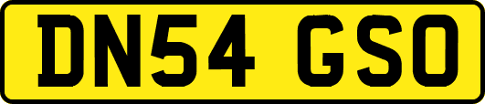 DN54GSO