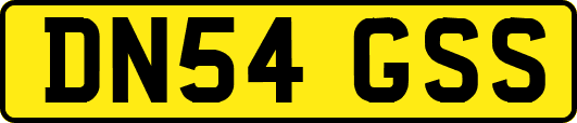 DN54GSS