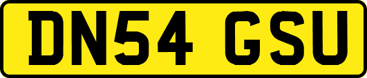 DN54GSU