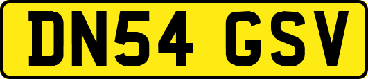 DN54GSV