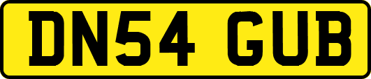 DN54GUB