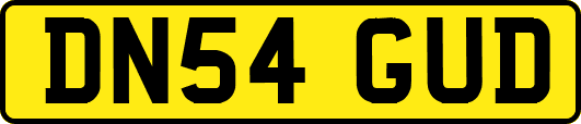 DN54GUD