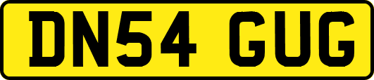 DN54GUG