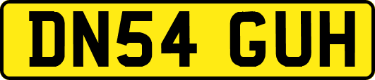 DN54GUH