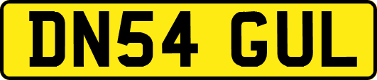 DN54GUL