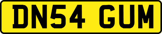 DN54GUM