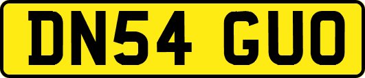 DN54GUO