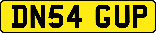 DN54GUP