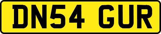 DN54GUR