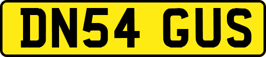 DN54GUS