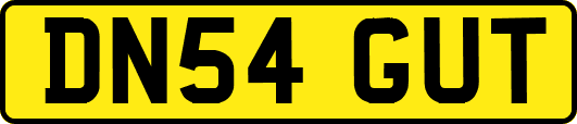 DN54GUT