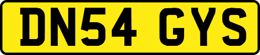 DN54GYS