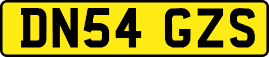 DN54GZS