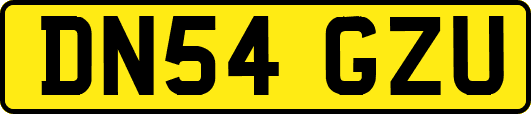 DN54GZU