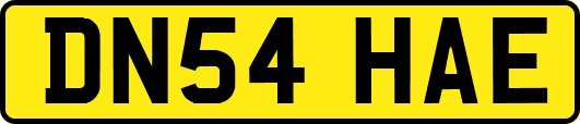 DN54HAE
