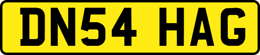 DN54HAG