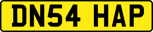 DN54HAP