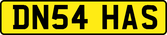 DN54HAS