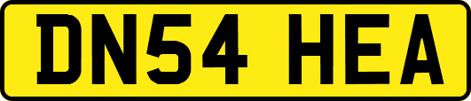 DN54HEA