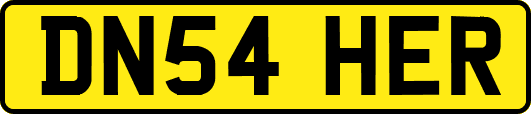 DN54HER