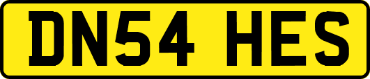 DN54HES