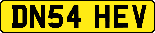 DN54HEV