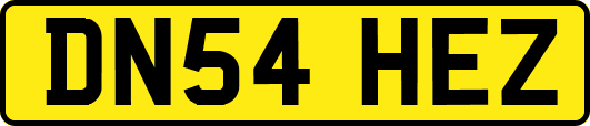 DN54HEZ