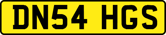 DN54HGS