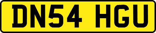 DN54HGU