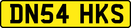 DN54HKS