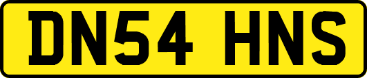 DN54HNS